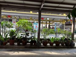 Telok Blangah Rise (D4), Shop House #537620211